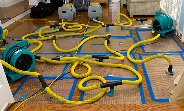 Professional Structural Drying And Dehumidification technician working in Papaikou, HI